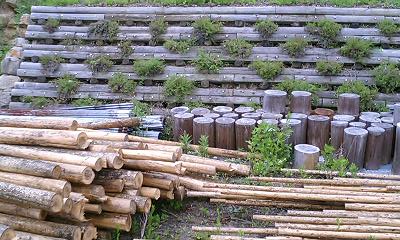 b0051713_0284324.jpg