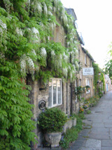 c0052933_3522828.jpg
