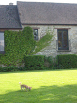 c0052933_493086.jpg