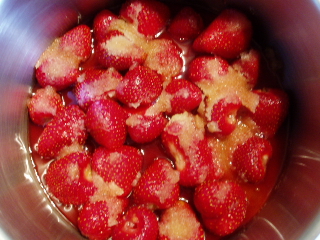 b0032039_481597.jpg