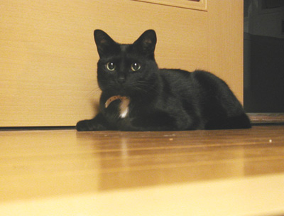 c0048042_23124939.jpg
