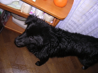 c0065643_13215836.jpg
