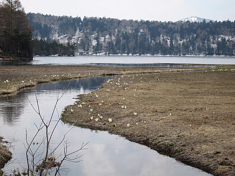 a0021558_11173552.jpg