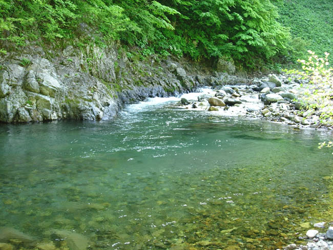 b0053660_12111337.jpg