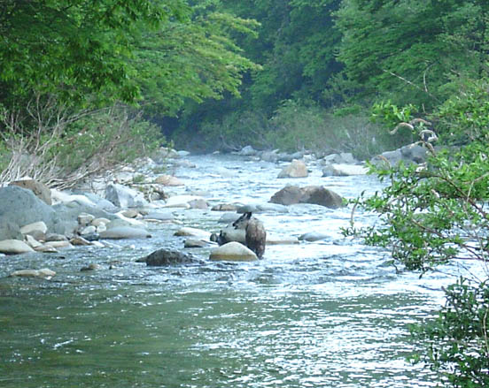 b0053660_12115315.jpg