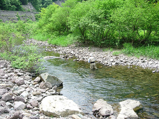 b0053660_12141033.jpg