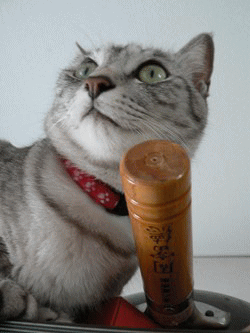 c0065287_0525893.gif