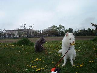d0009101_1884695.jpg