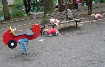 c0011204_16552731.jpg
