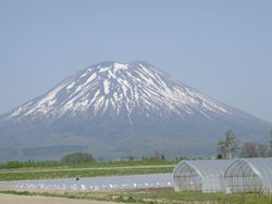 d0051707_9591610.jpg