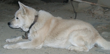 c0062331_2211786.jpg