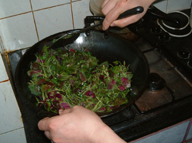 c0069036_23374985.jpg