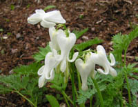 c0064537_6554652.jpg