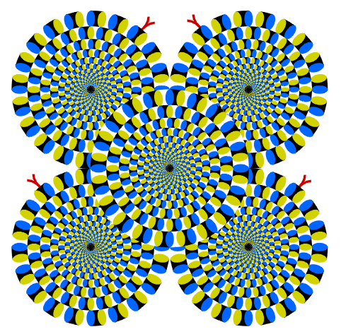 b0066240_1258381.gif