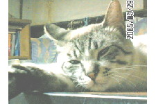 c0011446_18164094.jpg