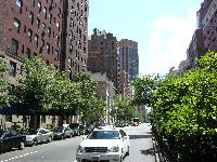 c0029649_235321.jpg