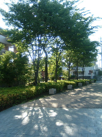 b0009665_2173565.jpg