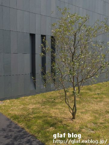 b0056790_6533561.jpg