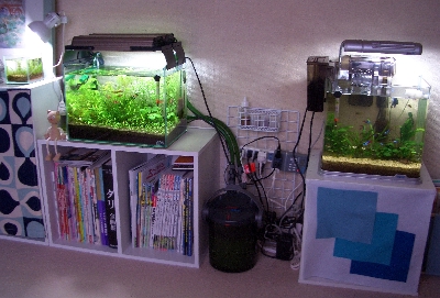 c0074591_01615.jpg