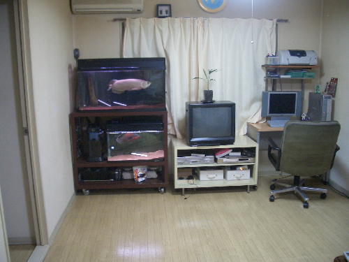 b0006896_033969.jpg