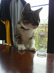c0035001_13354334.jpg