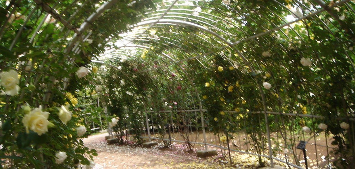 c0041207_18483692.jpg