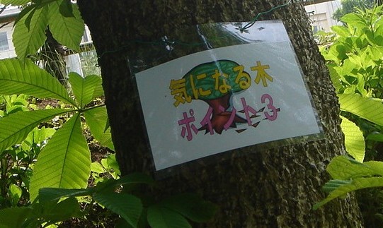 c0041207_18595425.jpg
