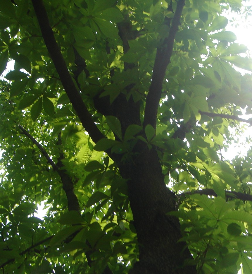 c0041207_1912044.jpg