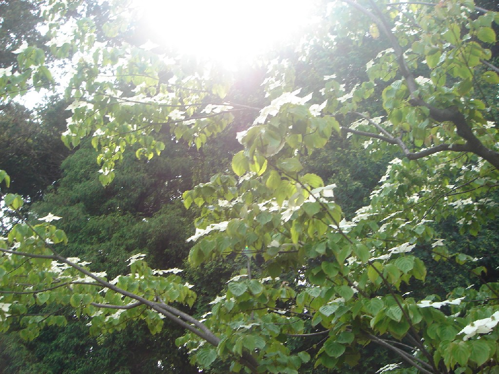 c0041207_1934540.jpg