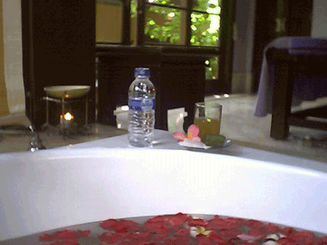 d0038319_1644119.gif