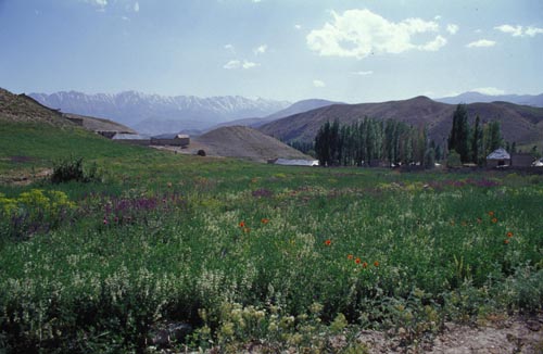 c0057224_2173368.jpg