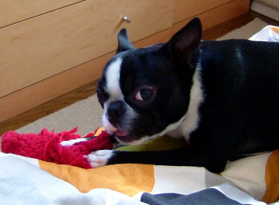 c0032567_23324854.jpg