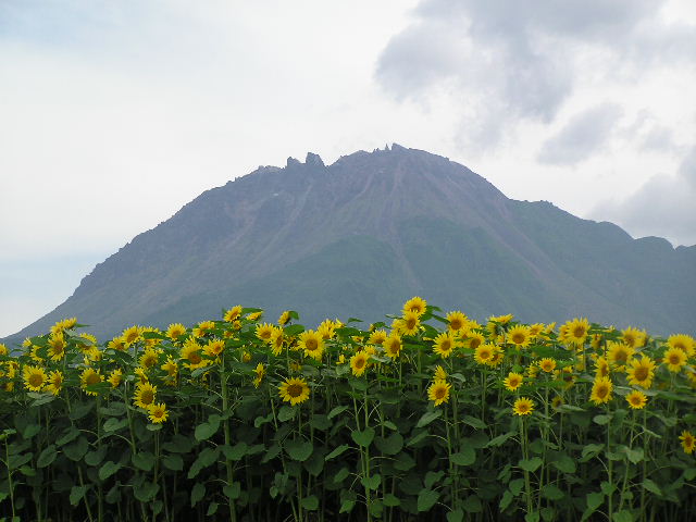 c0042869_21561966.jpg