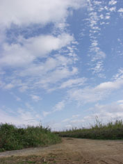 c0068090_1330579.jpg