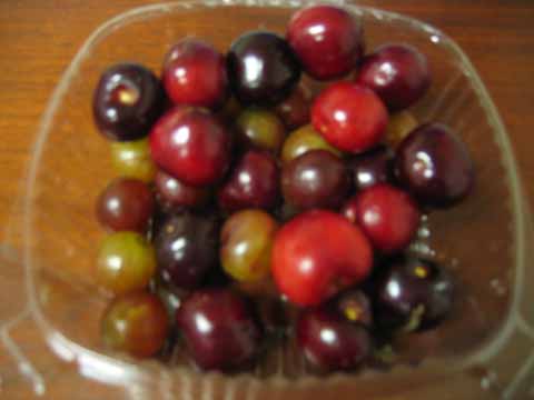 c0055212_12573622.jpg