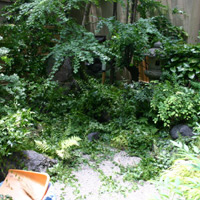 d0033734_17181524.jpg