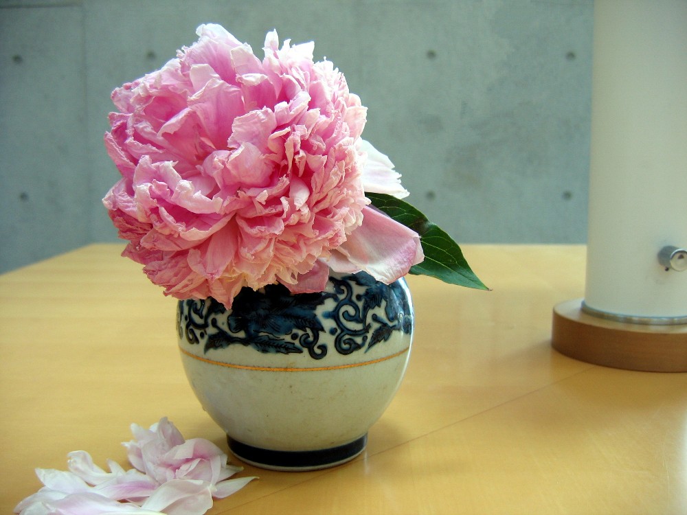 c0033541_9234651.jpg