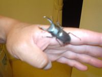 c0046361_1337486.jpg