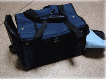 b0055276_0282018.gif