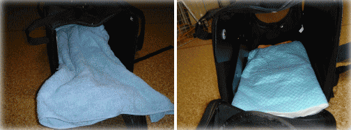 b0055276_0282826.gif