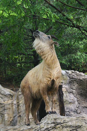 c0052787_23184526.jpg