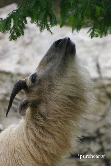 c0052787_2351364.jpg