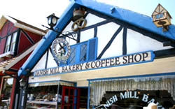 c0033994_45912.jpg
