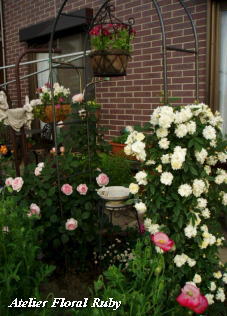 d0001008_1519387.jpg