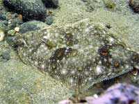 b0044726_23242655.jpg