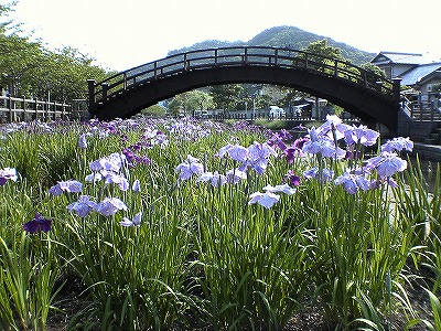 c0038334_2111415.jpg