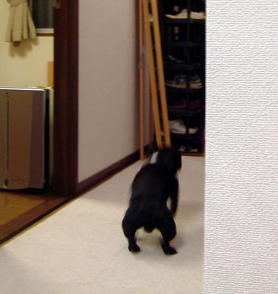 c0032567_00472.jpg