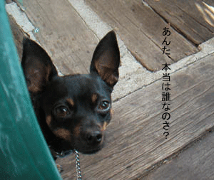 c0012571_1272417.gif