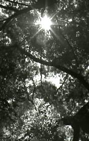 b0011881_22204081.jpg