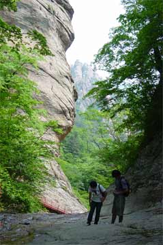 b0054886_23265253.jpg